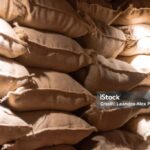Stock of cereals for transport