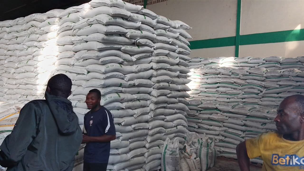 Farmers in Kenya's North Rift region are alarmed by a shortage of top-dressing fertiliser, warning it could jeopardize maize production and food security ahead of the 2026 harvest.