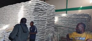 Farmers in Kenya's North Rift region are alarmed by a shortage of top-dressing fertiliser, warning it could jeopardize maize production and food security ahead of the 2026 harvest.