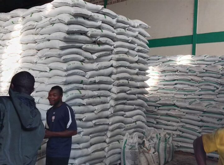 Farmers in Kenya's North Rift region are alarmed by a shortage of top-dressing fertiliser, warning it could jeopardize maize production and food security ahead of the 2026 harvest.