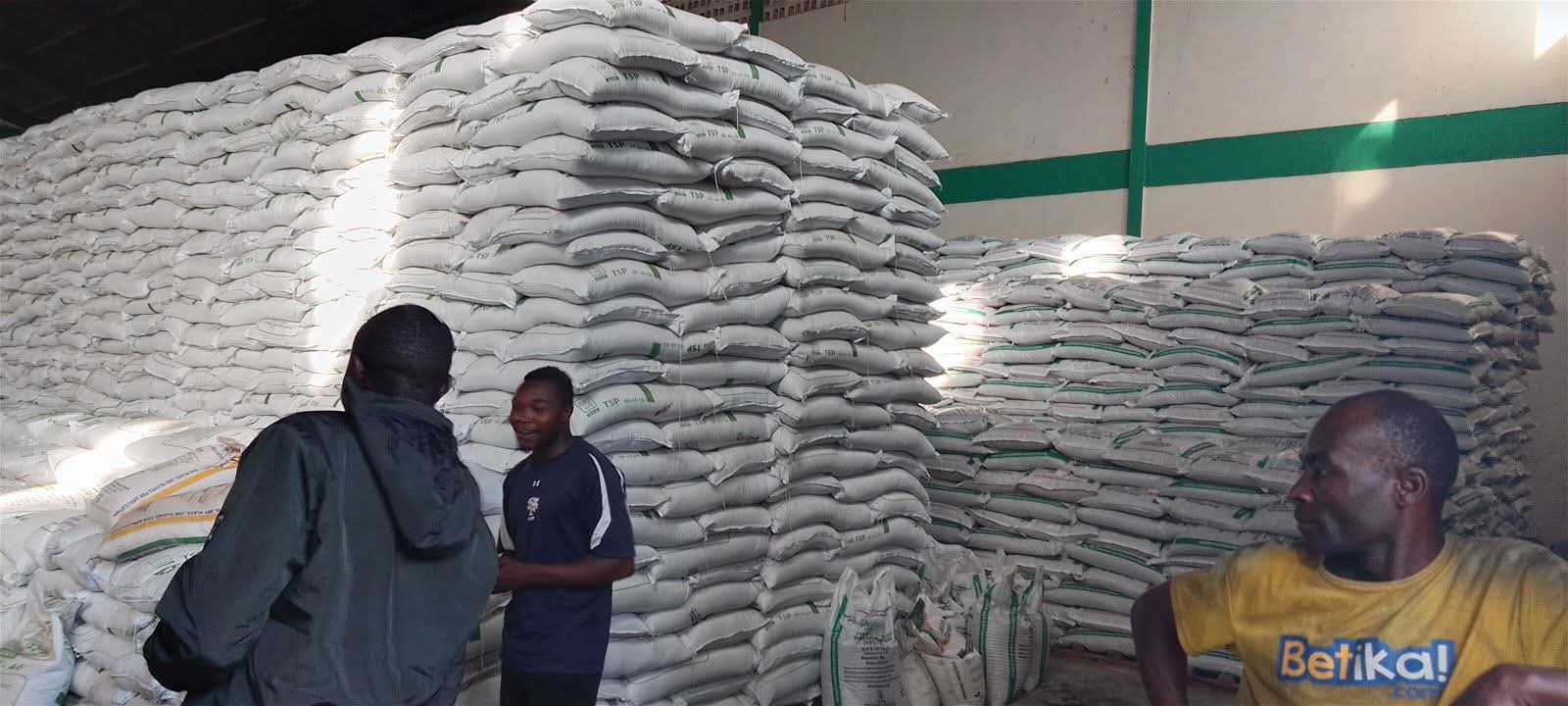 Farmers in Kenya's North Rift region are alarmed by a shortage of top-dressing fertiliser, warning it could jeopardize maize production and food security ahead of the 2026 harvest.